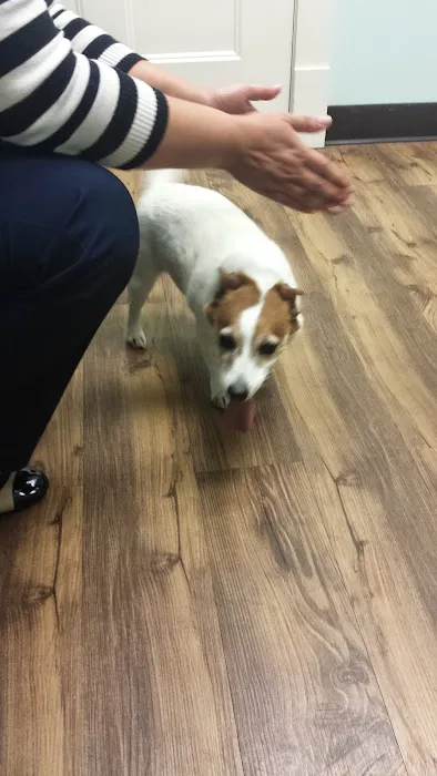 Animal Health & Wellness Veterinary Office Picture 3
