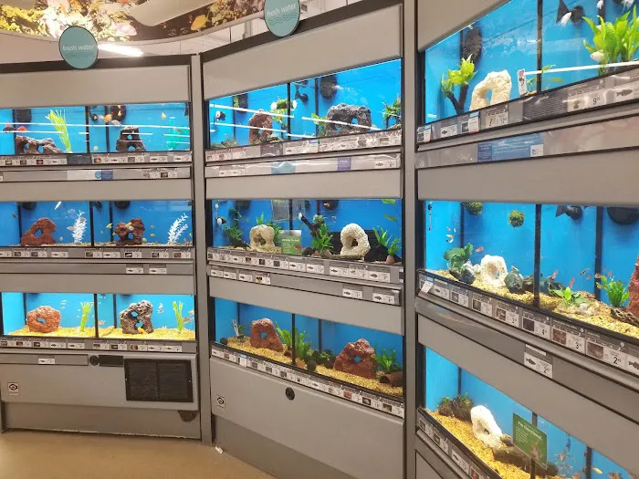 Petco Picture 9