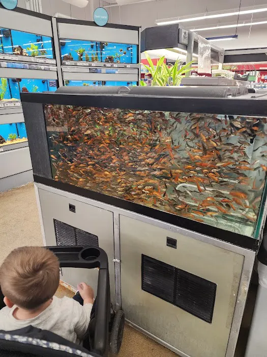 Petco Picture 10