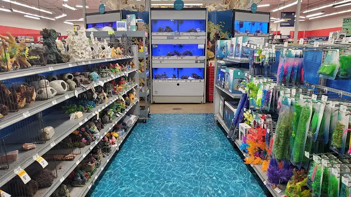 Petco Picture 6