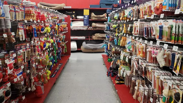 Petco Picture 4