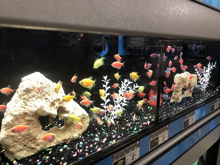 Petco Picture 7
