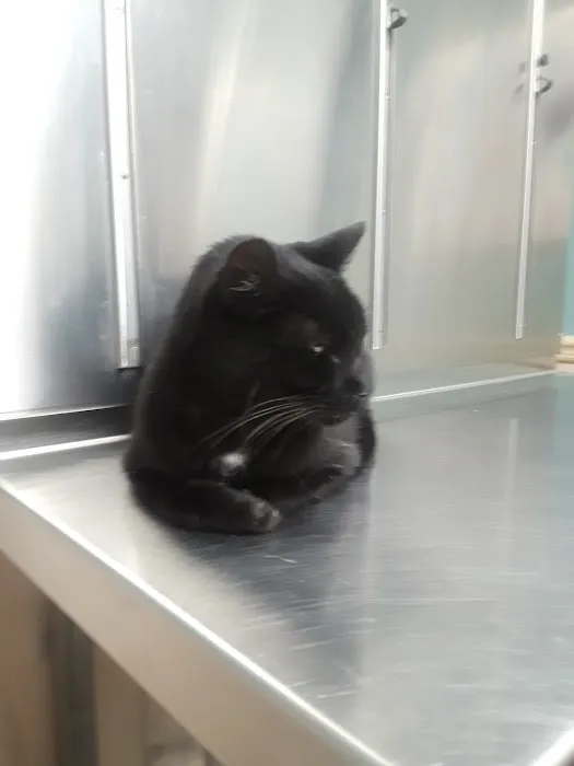Countryside Animal Hospital Picture 7