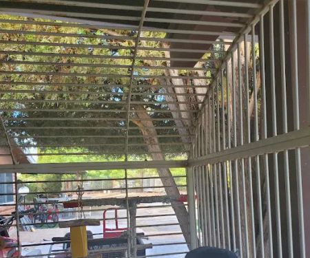 Arizona Parrots, Call for appointment to visit