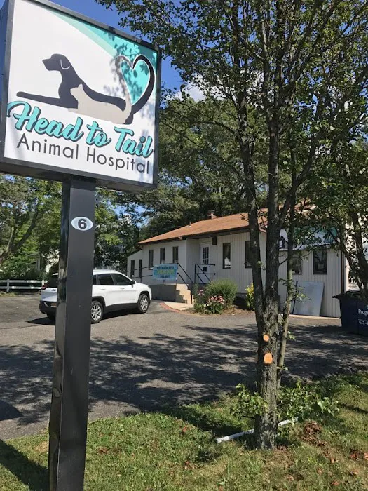 Head To Tail Animal Hospital Picture 6
