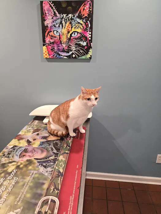 Head To Tail Animal Hospital Picture 4