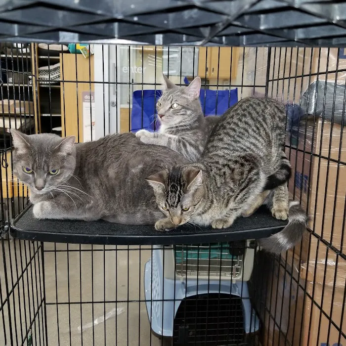 Petco Picture 10