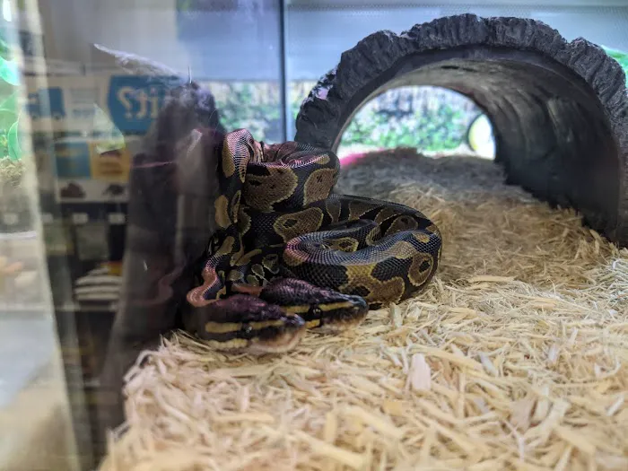 Petco Picture 9