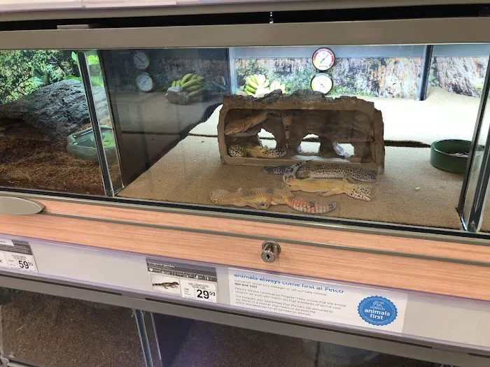 Petco Picture 4
