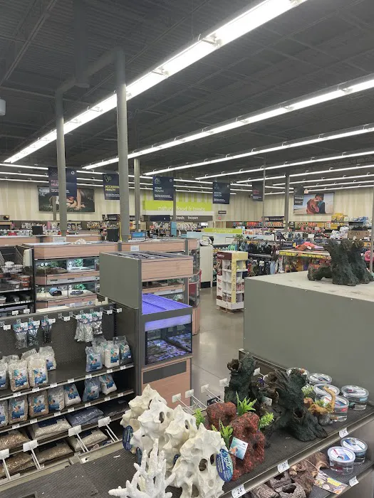 Petco Picture 5