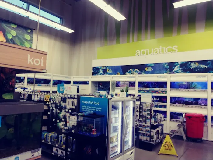 Petco Picture 3