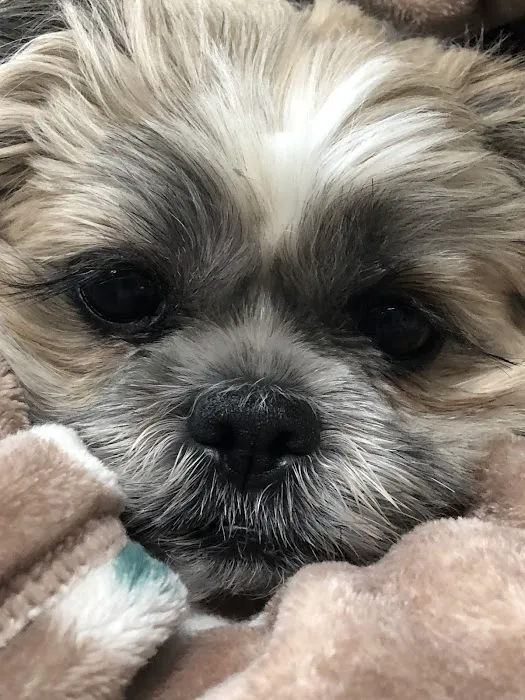 Jefferson Animal Hospital Picture 10