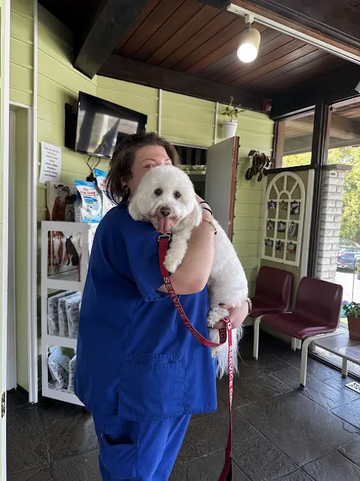 Jefferson Animal Hospital Picture 2