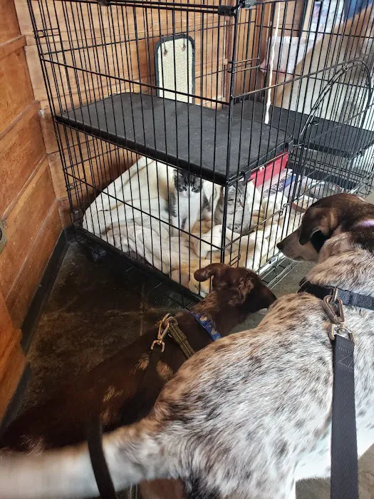 Jefferson Animal Hospital Picture 7