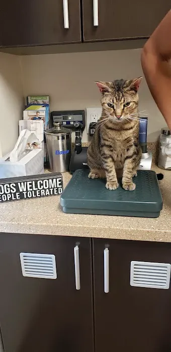 Roosevelt Animal Hospital Picture 6