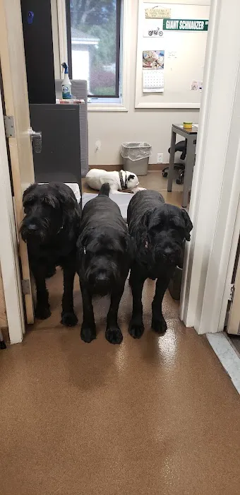 Roosevelt Animal Hospital Picture 4