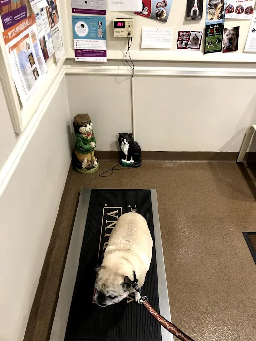 Roosevelt Animal Hospital Picture 7