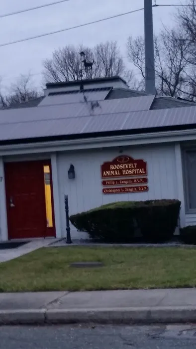 Roosevelt Animal Hospital Picture 8
