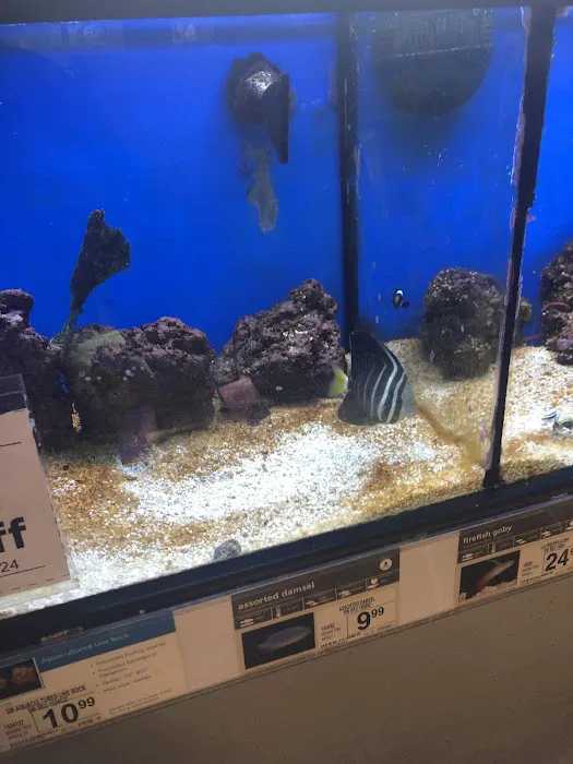 Petco Picture 10