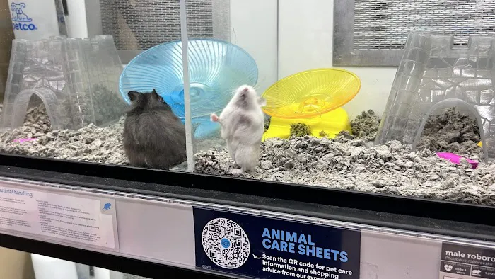 Petco Picture 5