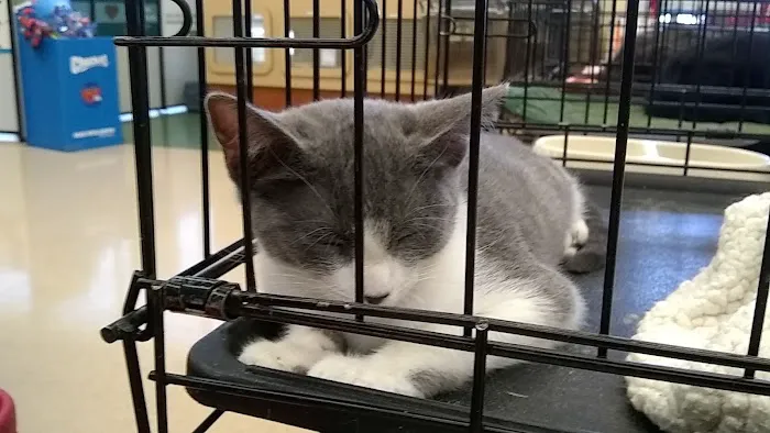Petco Picture 4