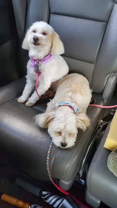 Petco Picture 8