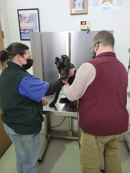 Suffolk Veterinary Group Animal Wellness & Laser Surgery Center Picture 6