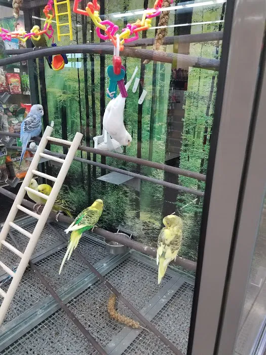 Petco Picture 10