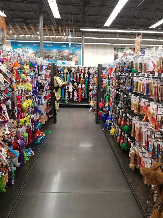 Petco Picture 2