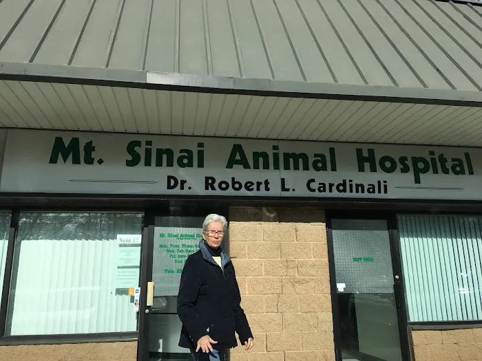 Mt Sinai Animal Hospital Picture 2