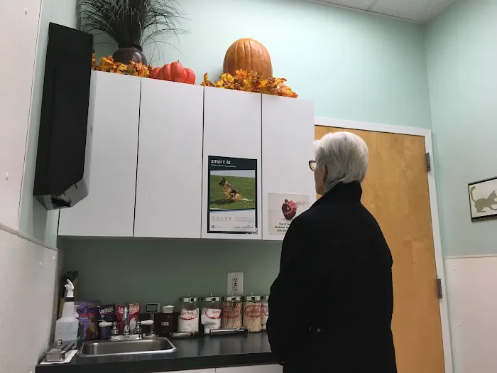 Mt Sinai Animal Hospital Picture 1