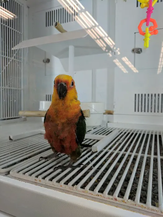 Petco Picture 3