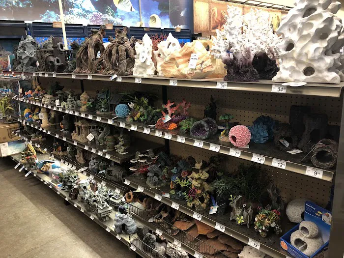 Petco Picture 4