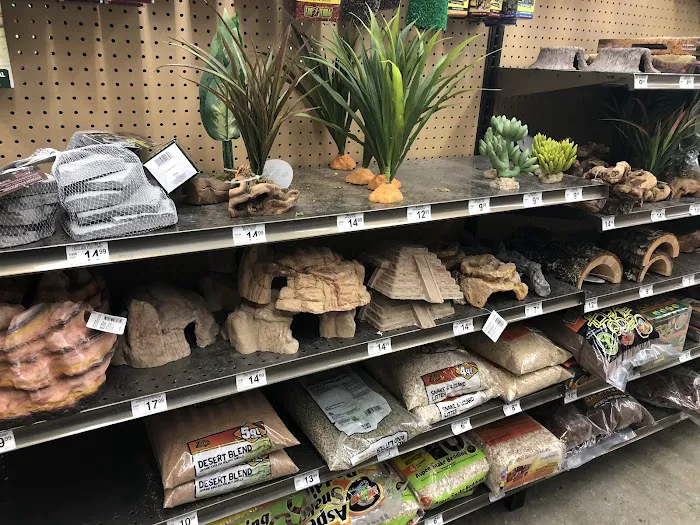 Petco Picture 6