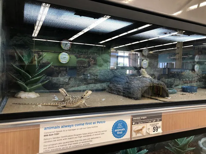 Petco Picture 7