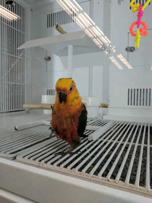 Petco Picture 10