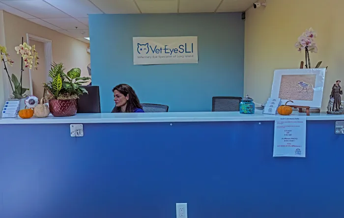 Veterinary Eye Specialist of Long Island Picture 8