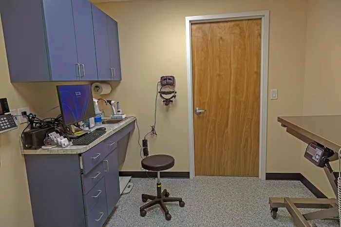 Veterinary Eye Specialist of Long Island Picture 6