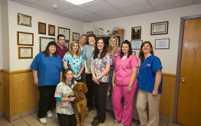 VCA Farmingville Animal Hospital Picture 10