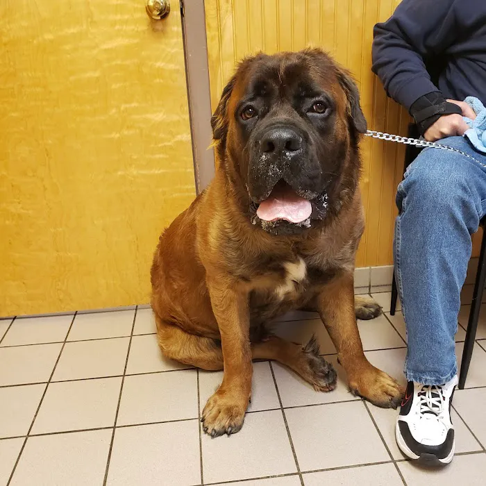 VCA Farmingville Animal Hospital Picture 7