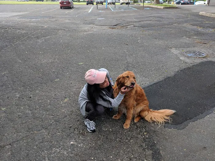 Middle Country Animal Hospital PC Picture 7