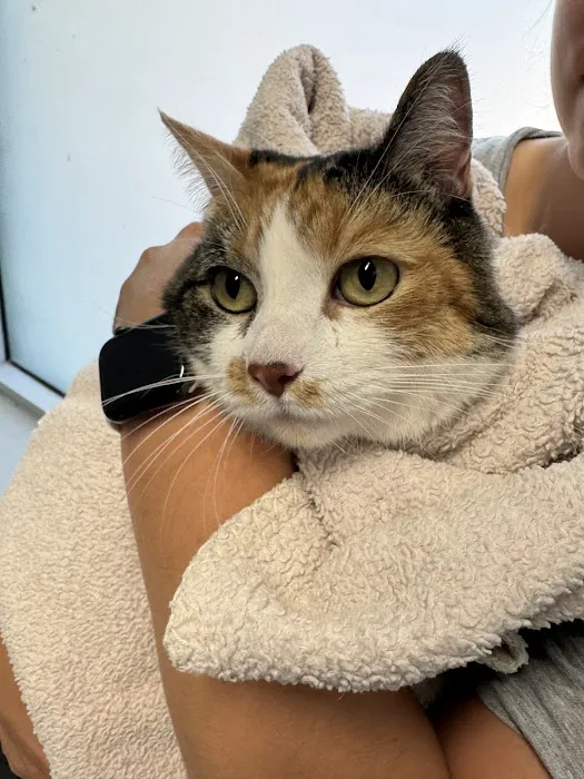 Animal Emergency Service Picture 8