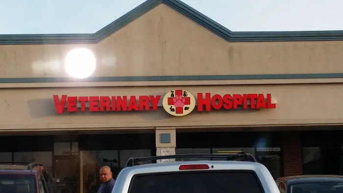 Island Veterinary Hospital Picture 3