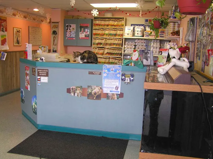 Island Veterinary Hospital Picture 10