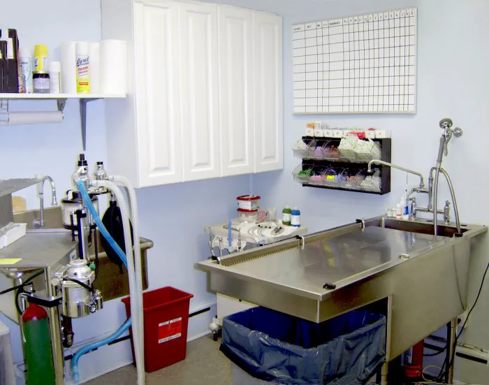 Blue Point-Bayport Animal Hospital Picture 7