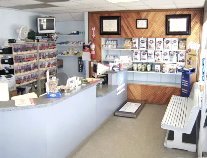Blue Point-Bayport Animal Hospital Picture 5