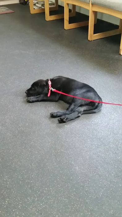 Bayport Village Animal Health Picture 1