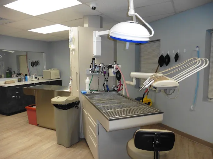 Bayport Veterinary Hospital Picture 7