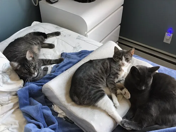 Bayport Veterinary Hospital Picture 5