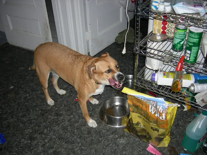Riverside Veterinary Hospital Picture 3